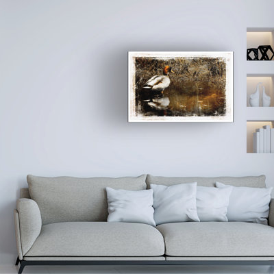 Art sur toile bolologique «bolle»