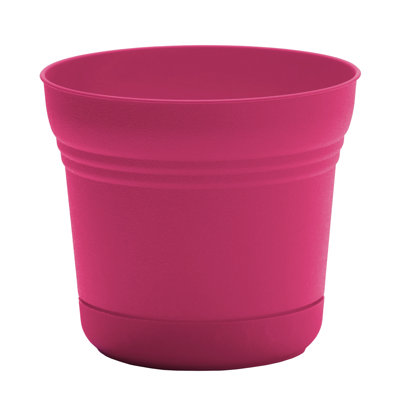 Saturn Traditional Plastic Indoor/Outdoor Round Planter with Saucer