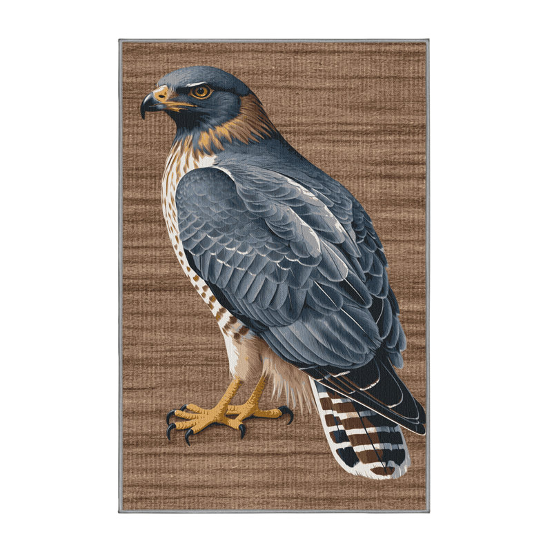 Washable Sharp shinned Hawk Birds Area Rug, Runner 2' x 4'