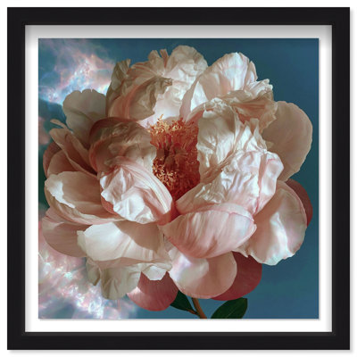 " Silk Petal Core " by Oliver Gal