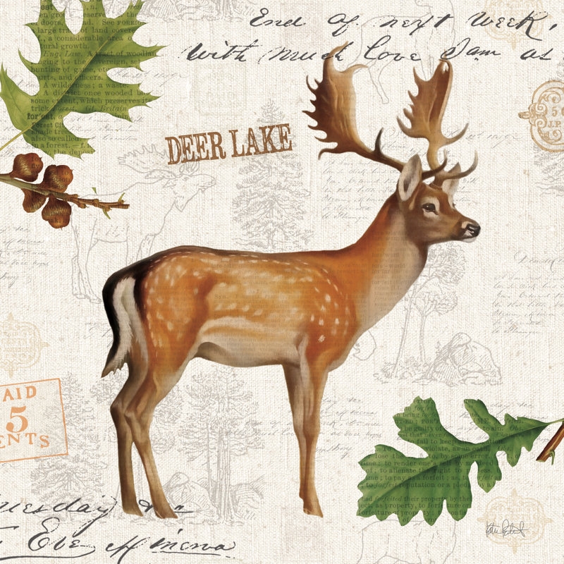 Lodge Collage VII 1 Piece Wrapped Canvas Wall Art, 76cm H x 76cm W