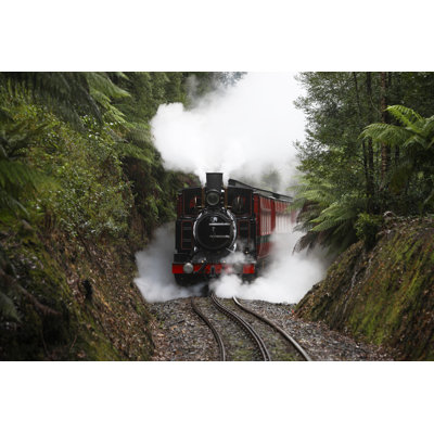 Wilderness Steam Train by Beyondimages