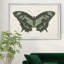 «Beautiful Butterfly II», impression sur toile encadrée-209804969-209804974