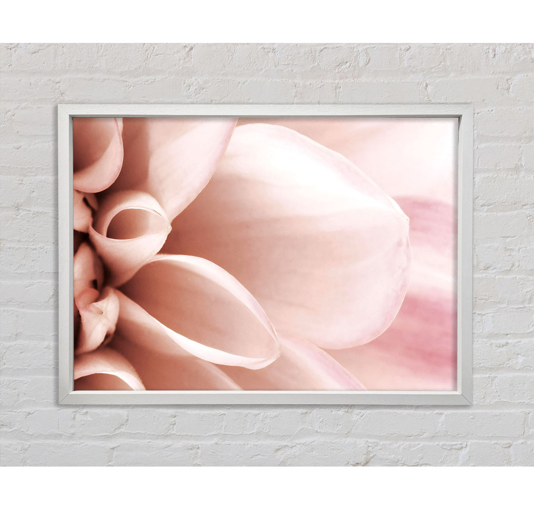 Delicate Petals - Einzelner Bilderrahmen Kunstdrucke auf Leinwand