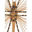 Insects Wall Decor-1243500942