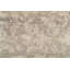 Neo Villa Floral Area Rug in Gray/Taupe