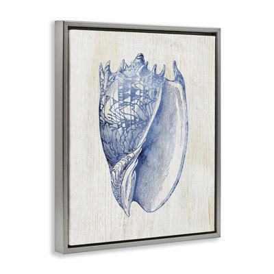 Cadre flottant nautique bleu clair Conque, conception par Susan Arnot
