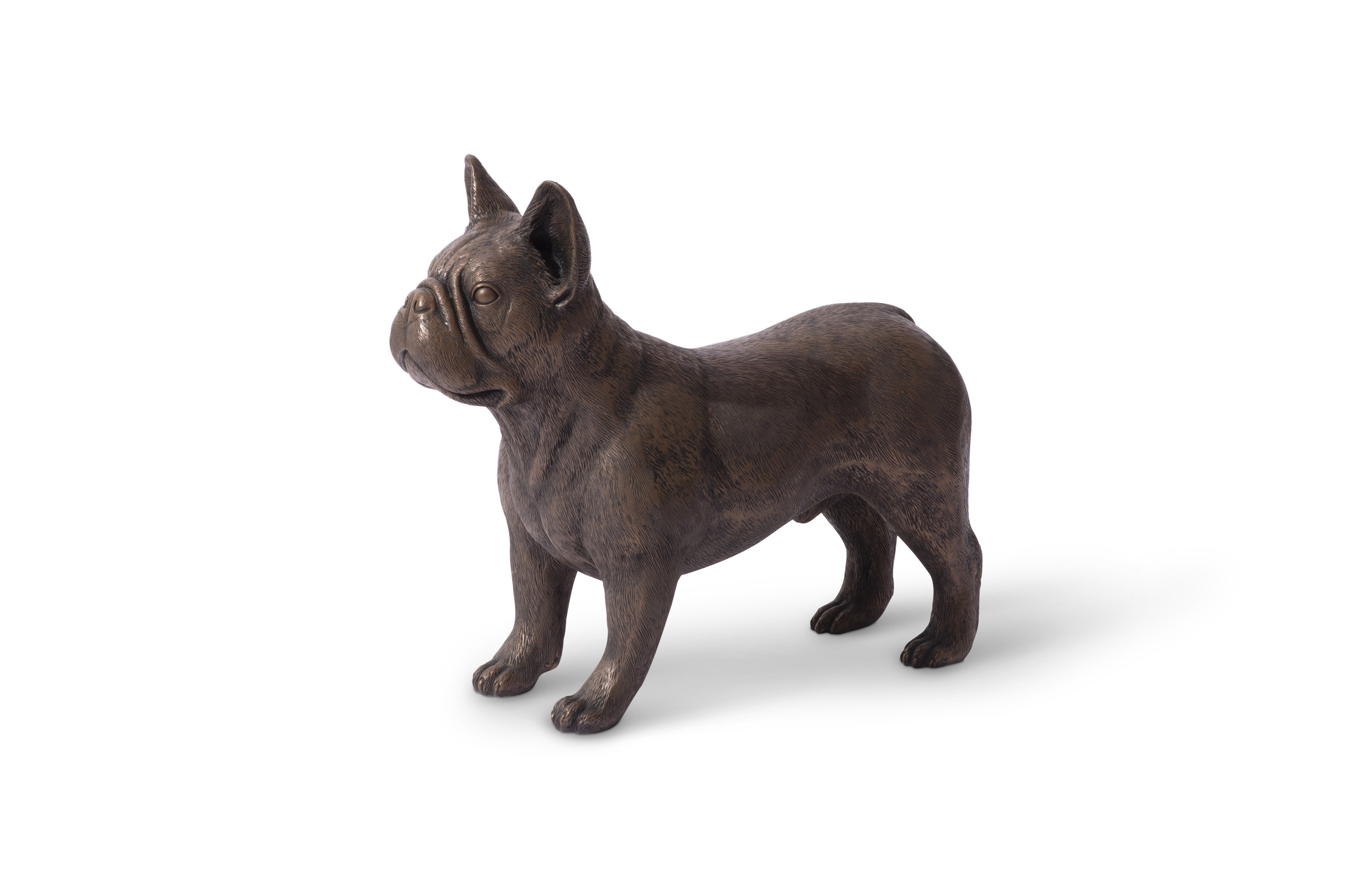Phillips Collection French Bulldog | Wayfair