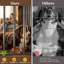 Meuble pour chien-1212230136-1212230141
