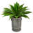 26 " H Faux Agave Succulent