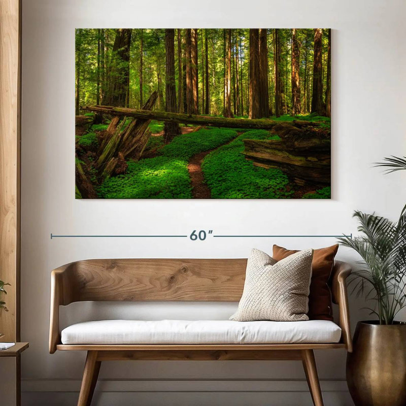 Forêt de séquoias à Harnek, H 34 po x l 51 po