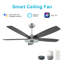 Ventilateur de plafond standard à DEL à 5 pales de 52 po avec télécommande et ensemble d'éclairage inclus Emporia-444219837