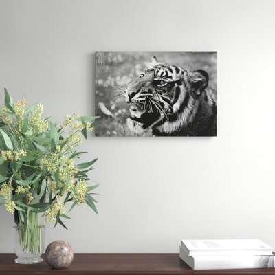Tiger Photographic - Wrapped Canvas