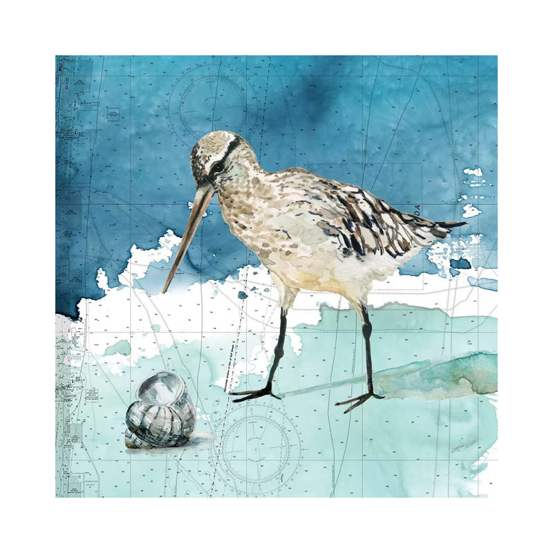 Bay Shore Sandpiper II by Carol Robinson - Print on Canvas, Wrapped Canvas, 45.72 cm H x 45.72 cm W x 1.91 cm D