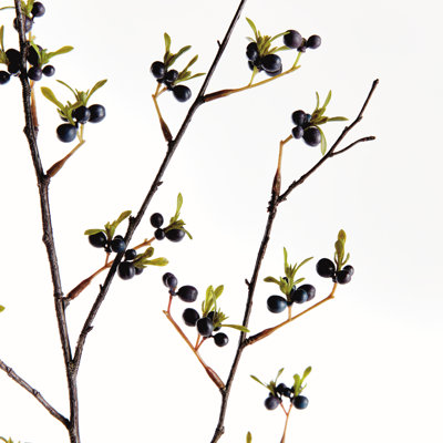 BRUN FONCÉ 41,5 po
