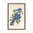 Blue Jay, 1831 by John Audubon - Print on Canvas-1175201685-1175201690