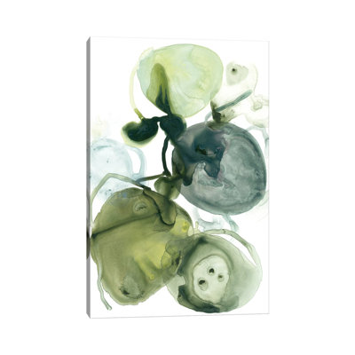 Orbital Lichen I by June Erica Vess - Wrapped Canvas Painting