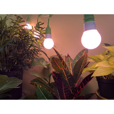 Miracle LED PLANT SURVIVAL Grow Light