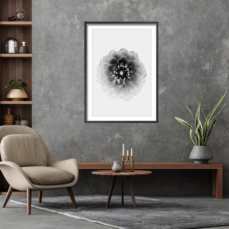 X-Ray Print by Alex Zhao, 24" H x 16" W 