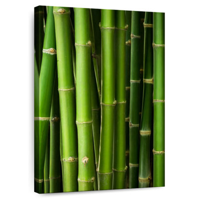 Harnek Bamboo Trunks