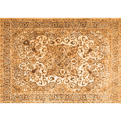 Bogosav Oriental Indoor Rug