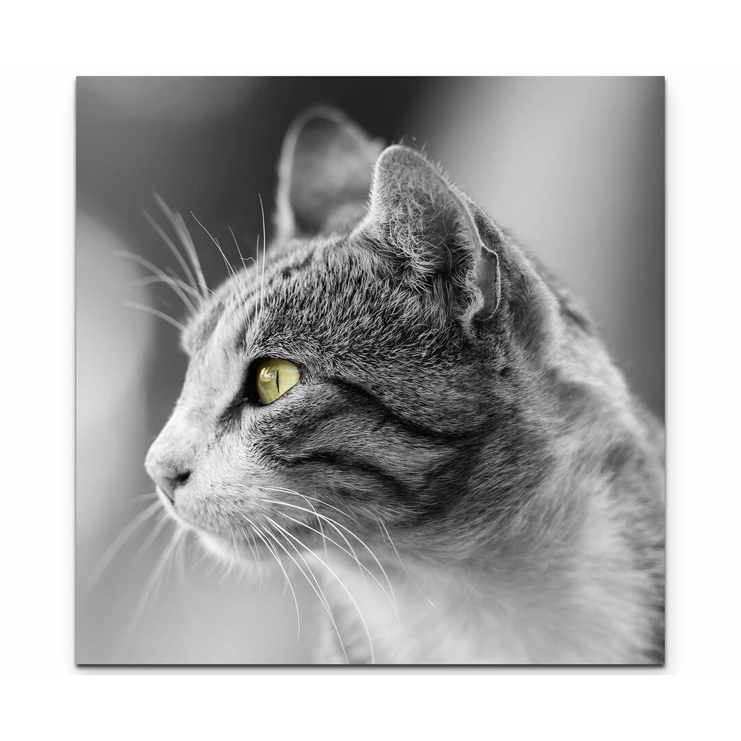 Leinwandbild Graue Katze Portrait