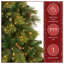 Carolina Flocked/Frosted Christmas Tree-1687330705