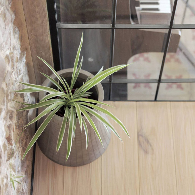 Urban Garden Pot Planter, 6.3" H x 6.16" W x 6.16" D