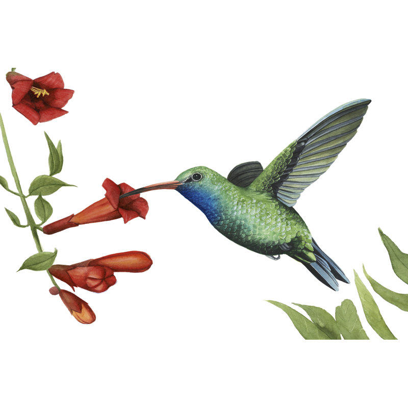 " Hummingbird And Flower I " by Grace Popp, 32" H x 48" W x 1.25" D