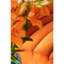 Sofa Element Wave Orange