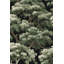Papier peint naturel Shades Of Green-799931679