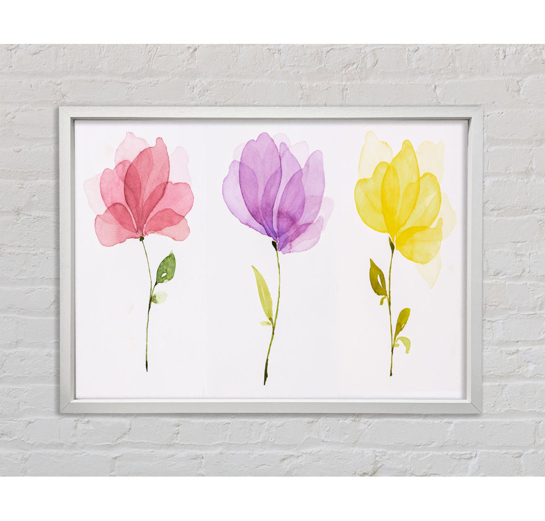 Trio von Pastellblumen - Druck