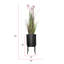 65 po plante de roseau en pot