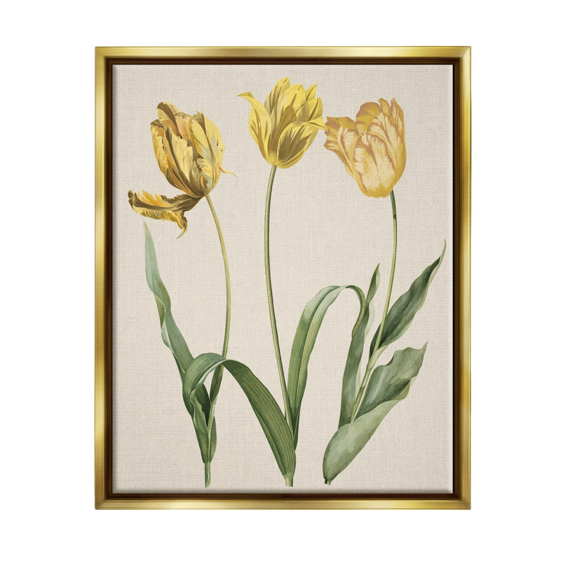 Three Tulip Sprigs Gold Framed Canvas Art Print
