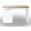Hollice Desk