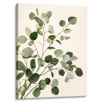 «Eucalyptus Branch Study», art mural botanique vert sur toile tendue