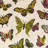 Butterfly Épinglé Fabric