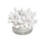 Petite sculpture en corail texturé blanc Bernardus