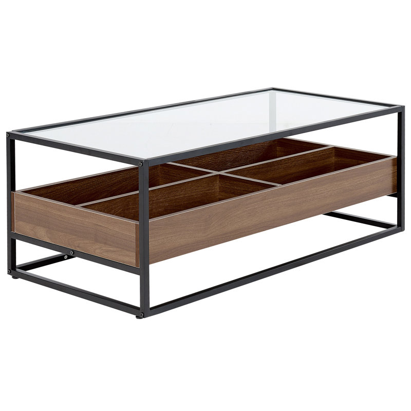 Rüdiger Frame Coffee Table with Storage