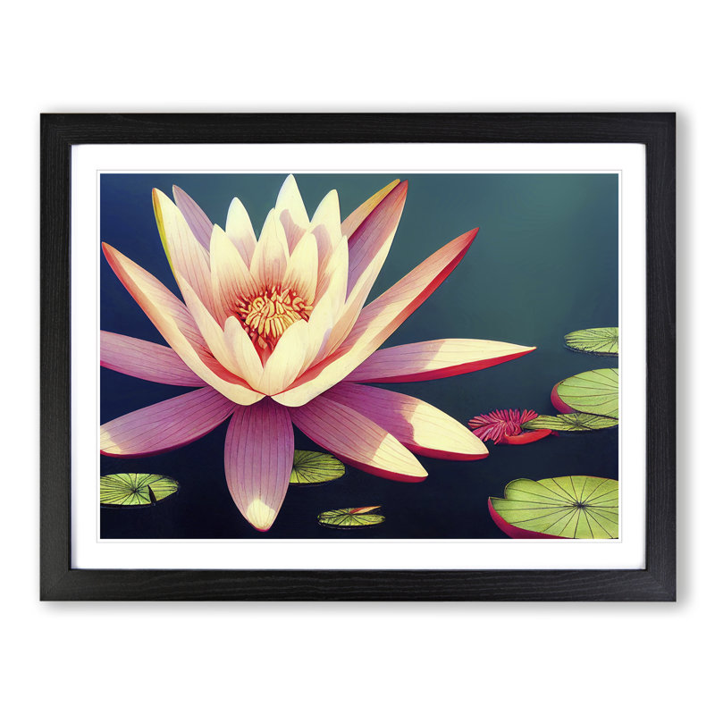 Spirited Water Lily Flower - Framed Print, Black Framed, 34cm H x 46cm W x 2cm D