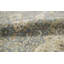 Signature Wool Oriental Area Rug in Blue/Beige