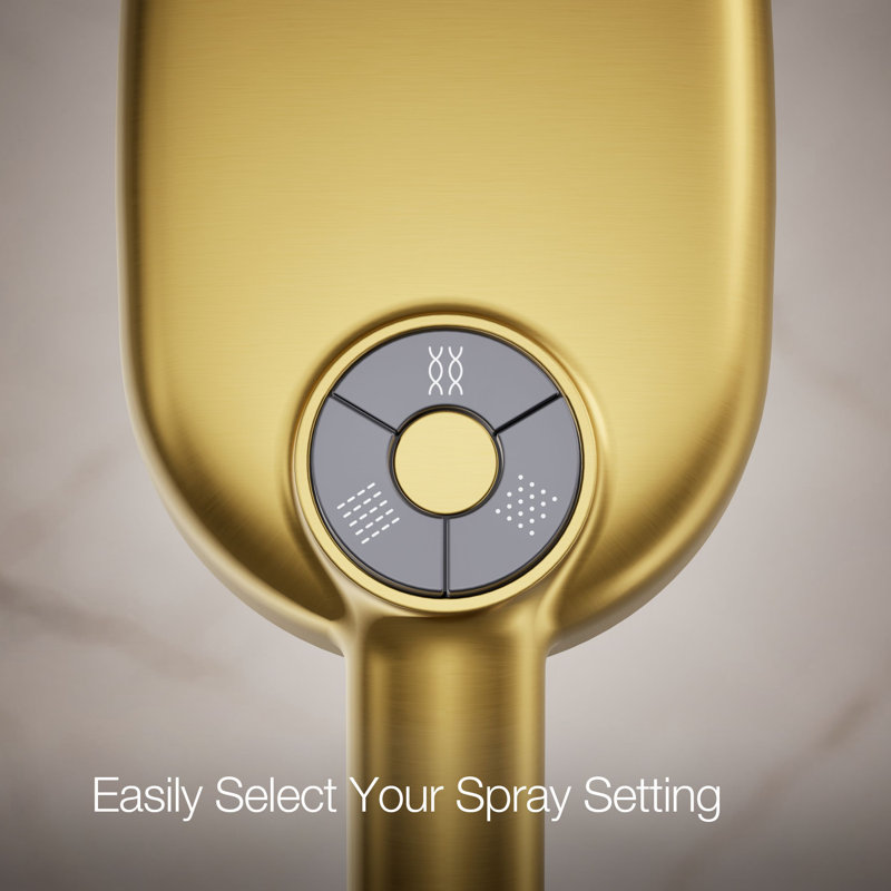 Statement 2.5 GPM Oval Multifunction Handshower With Katalyst Air-Induction Technology, Vibrant Brushed Moderne Brass