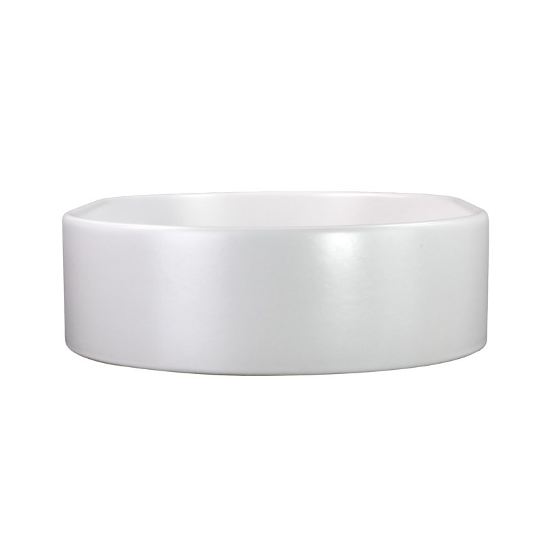 Regatta 23.75'' L Bathroom Sink, Matte White