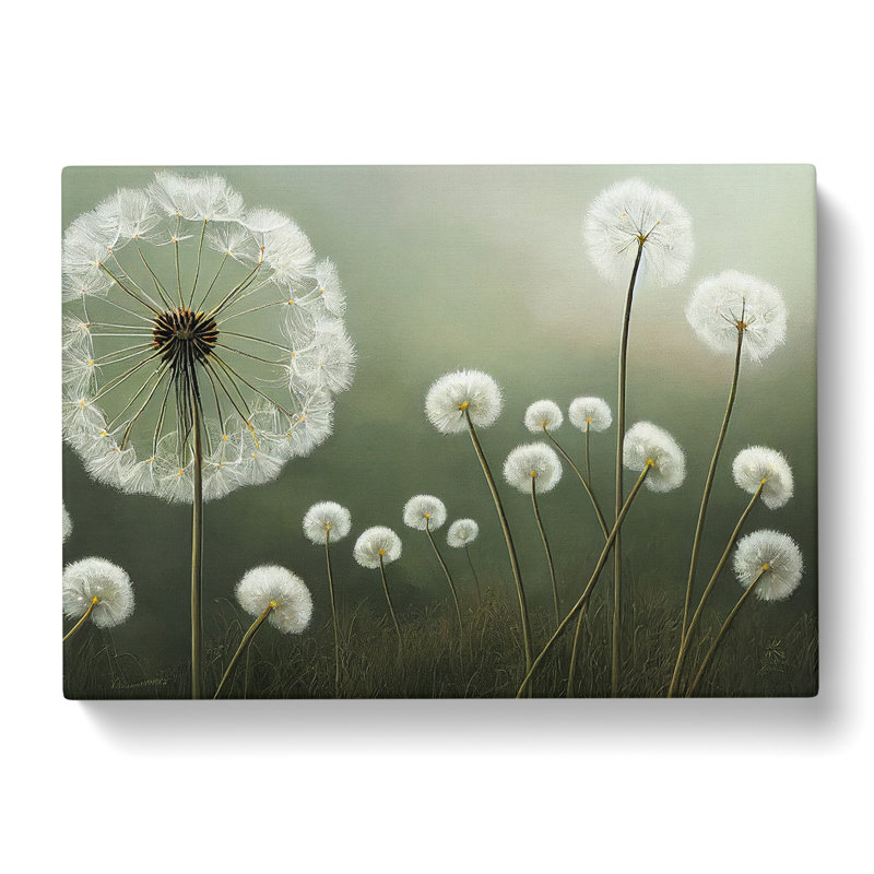 Hopeful Dandelion Flowers - Wrapped Canvas Print, 40cm H x 60cm W x 3cm D