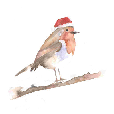 " Bird With Santa Hat "