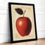 Apple Study Botanical - Print-1409870441-1409870443