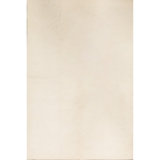 Area Rug in Cream