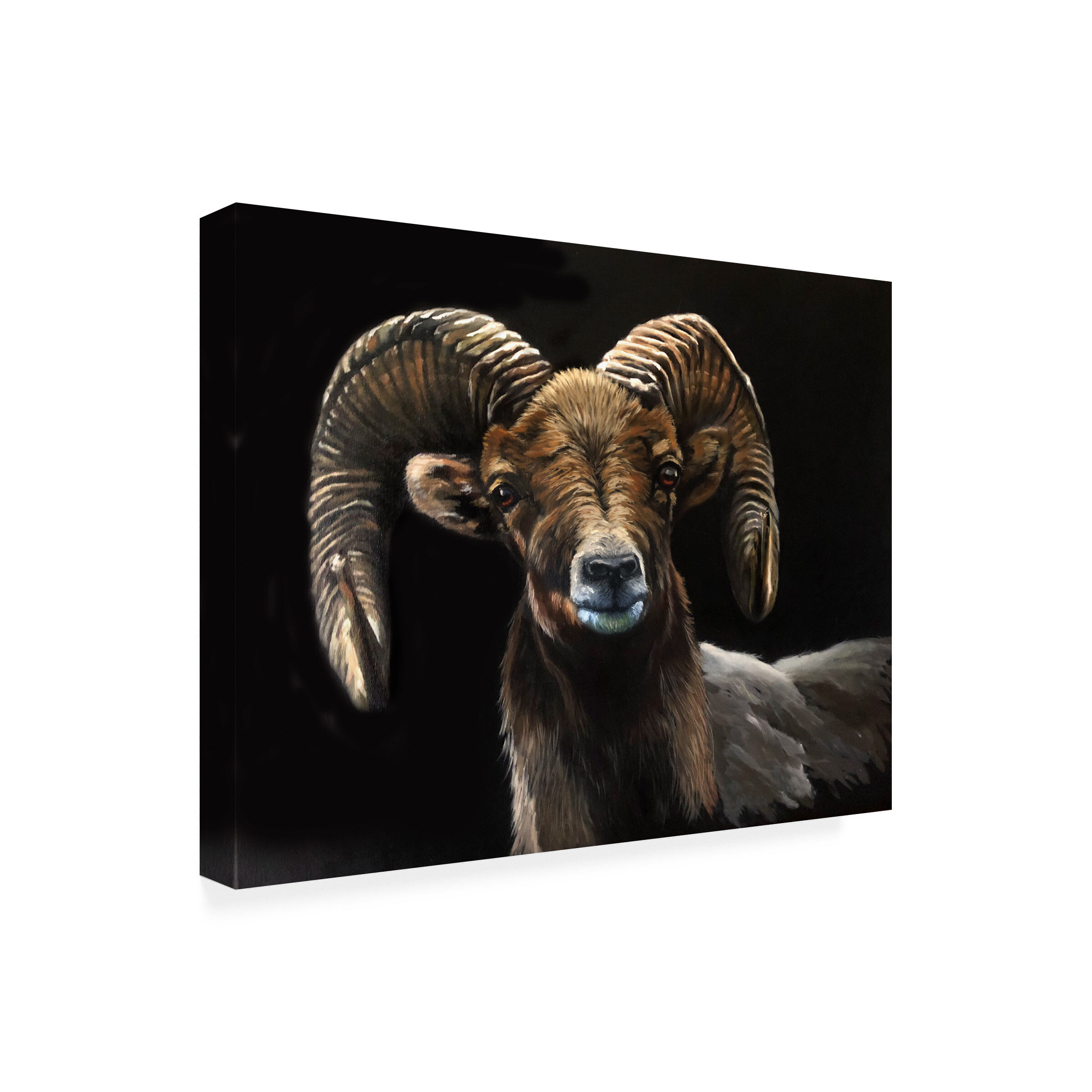 Millwood Pines Ram by Eileen Herb-Witte - Wrapped Canvas Graphic Art ...