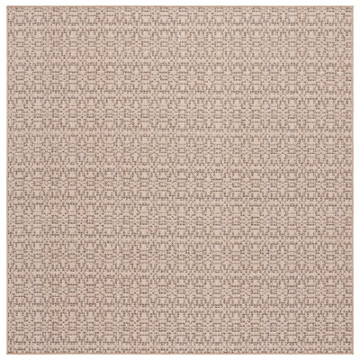 Joyce Sisal Performance Performance Geometric Rug