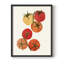 «Organic Veg IV», reproduction encadrée - bois massif-1865813770-1865813777